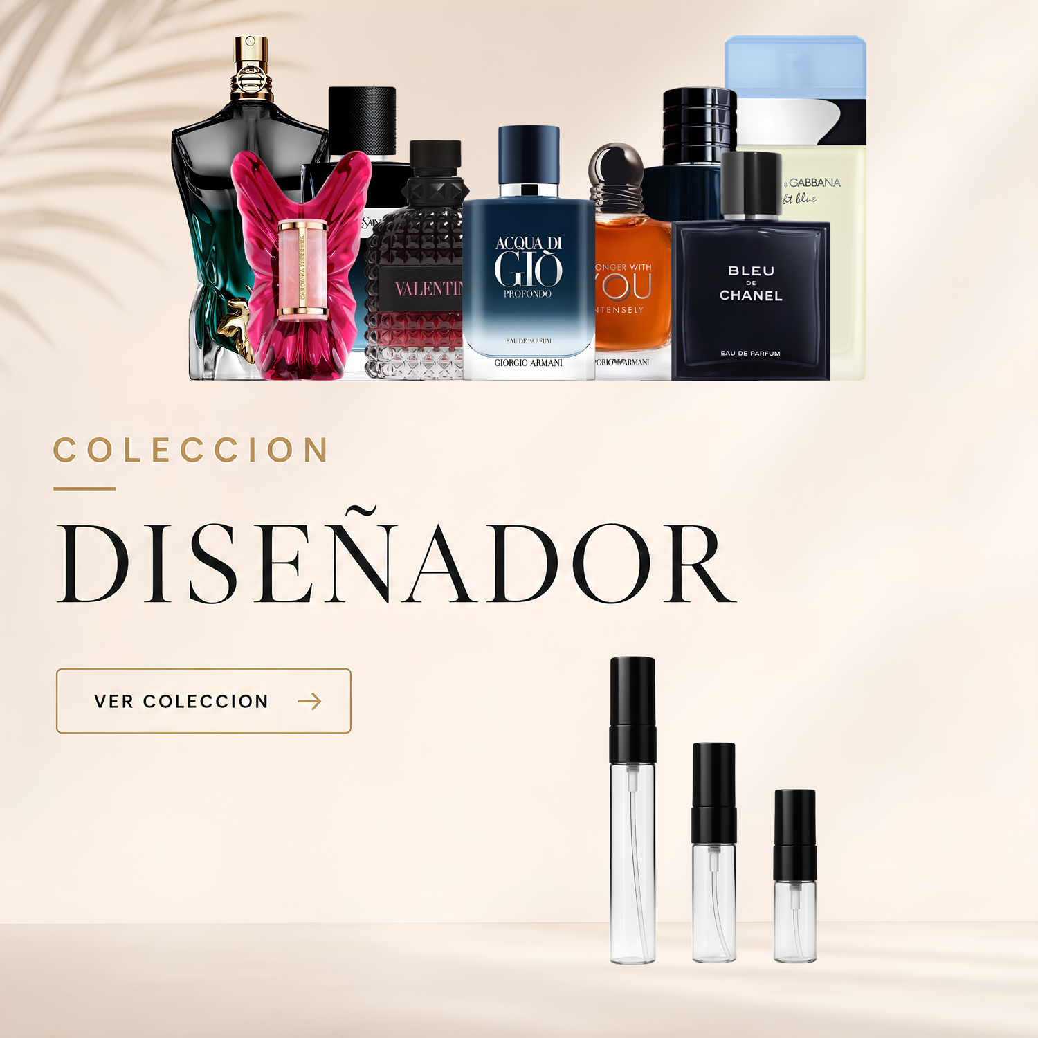 Diseñador